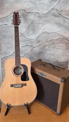 Washburn 12 String + Verstärker