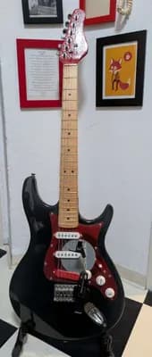 Self -Custom E- Gitarre "Bloody Readhead in Vinyl"