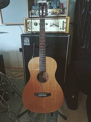 Tanglewood TWJPS Java Series (Parlor Guitar)