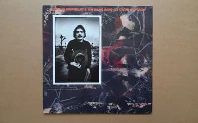 CAPTAIN BEEFHEART & The Magic Band - Ice Cream For Crow - Virgin - 204 957