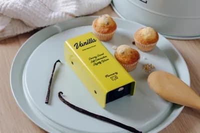 Tierra Audio Flavour Preamp - Vanilla - Inline-Mikrofonvorverstärker