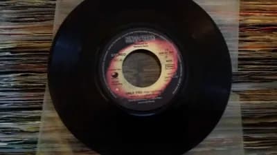 Single - Schallplatten - Rock, Pop, Hardrock, Schlager, Austropop - Teil 1