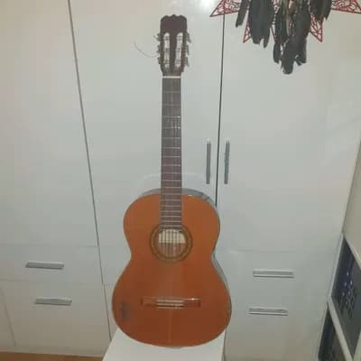 Rare Top Gitarre: Antonarra Luthier Japan
