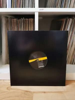 Wishmountain - Video (12") (Evolution)