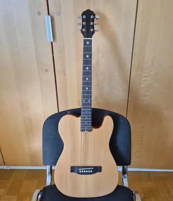 (reserviert) Red Hill MEC-01 Electric-Acoustic Steel Guitar