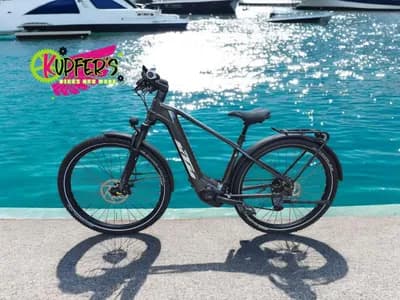 RESERVIERT Andi (UVP 4.599,-) 29 Zoll KTM Macina Team LFC 43 cm Medium 750 Wh Bosch CX Tektro 4-Kolben Top Zustand SUV Medium Bosch Performance Line CX Smart System DAMEN HERREN
