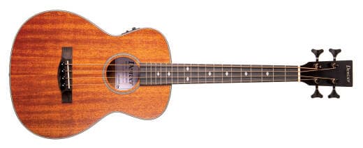 Denver Mini Acoustic/Electric Bass with Gigbag