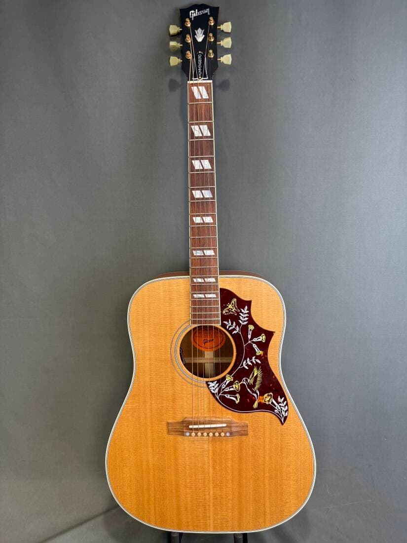 Gibson - ACOHBFANGH