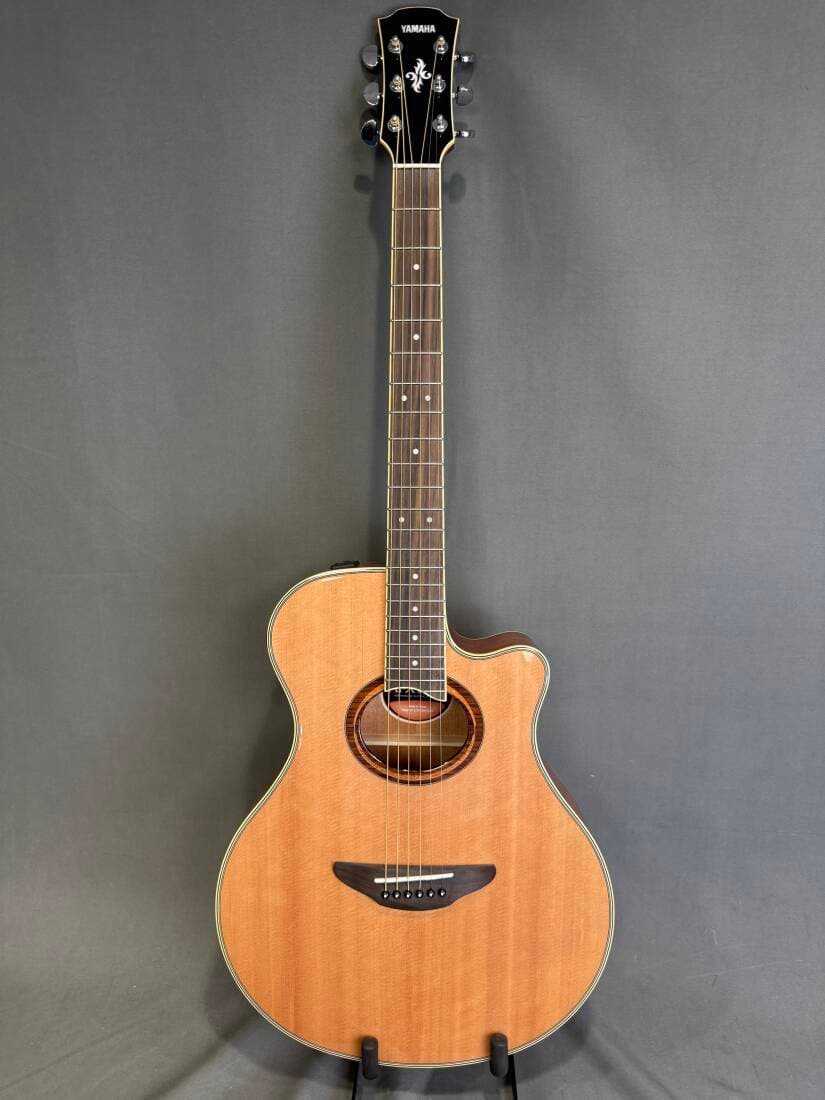 Yamaha - APX700II NT