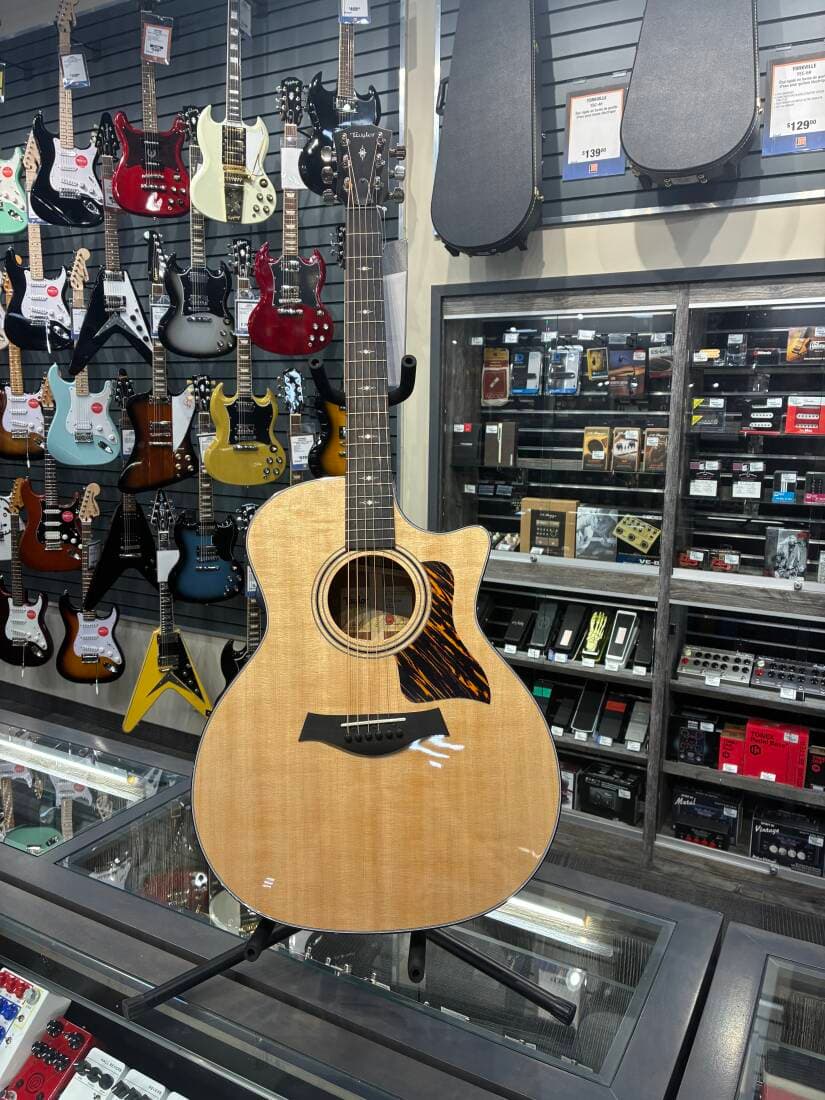 Taylor Guitars - 314CE