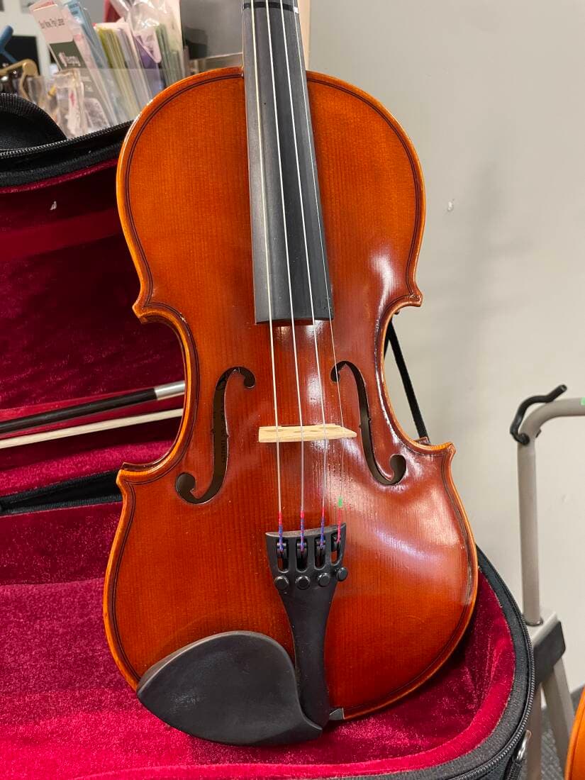 Eastman Strings - VL80LM 3/4 OF