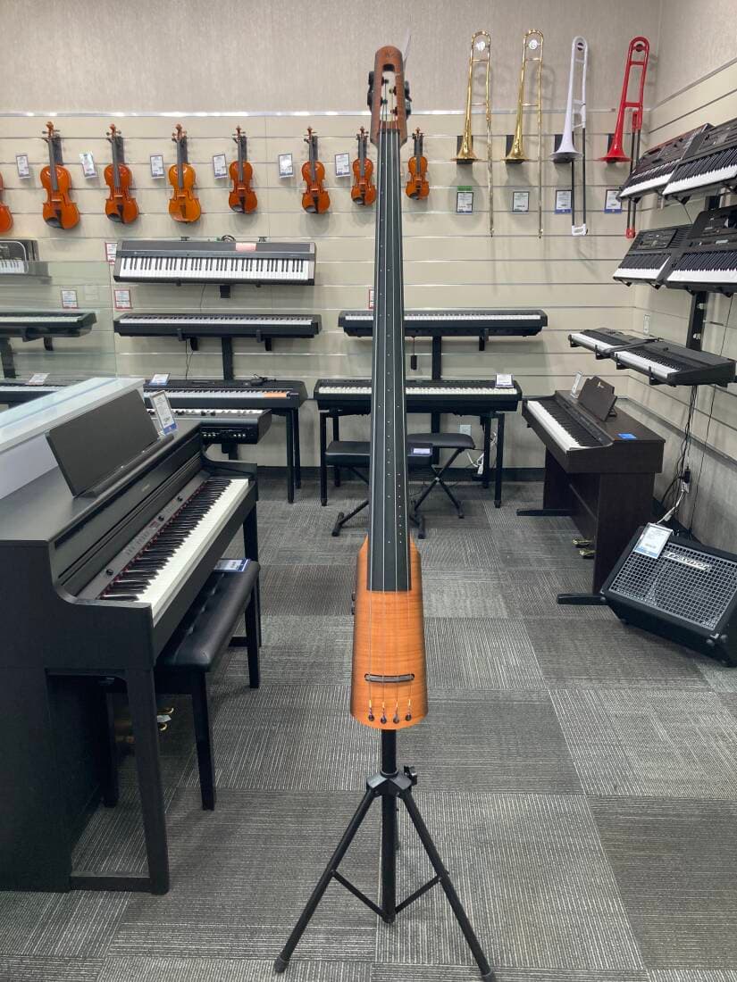 NS Designs Electric Upright Bass