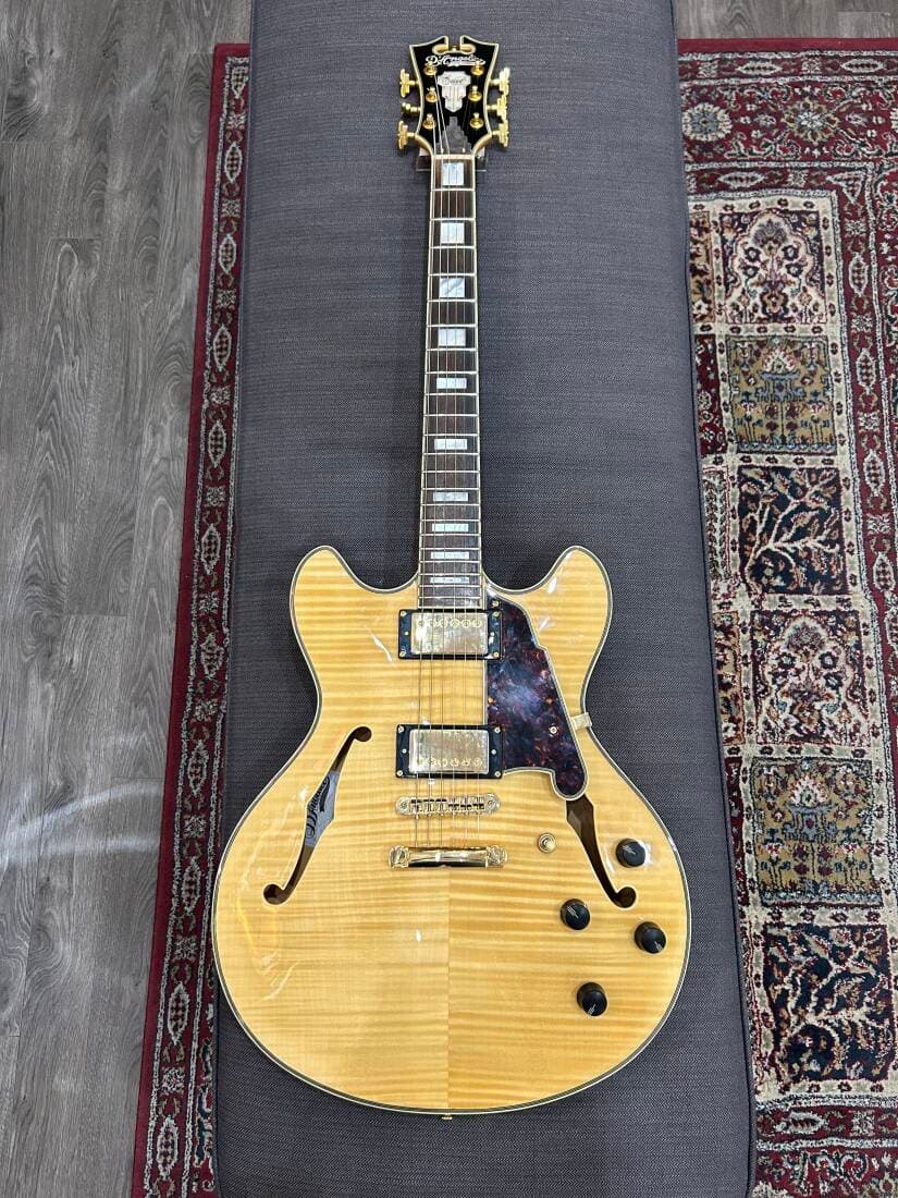 D'ANGELICO EXCEL EX-DC