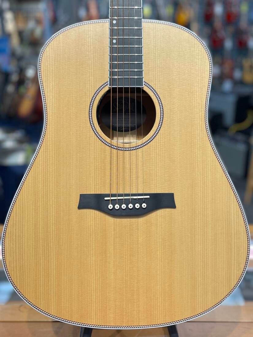 Seagull Guitars - Artist Mosaic EQ Acoustic/Electric Guitar with Gigbag