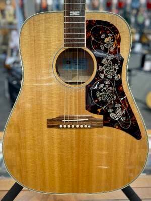 Epiphone - ACEFTANGH