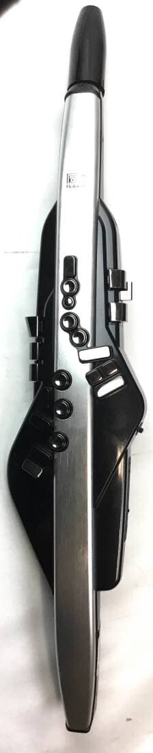 Roland - AE-30