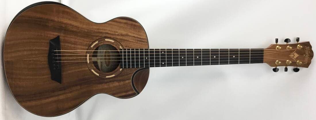 Washburn acoustic parlor