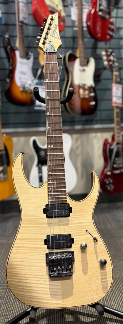 Ibanez Electric Guitar