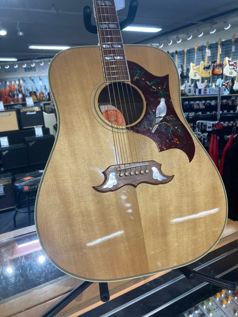 Gibson - ACODOANNH