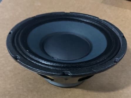 Eminence 10 Inch 16 Ohm Raw Woofer