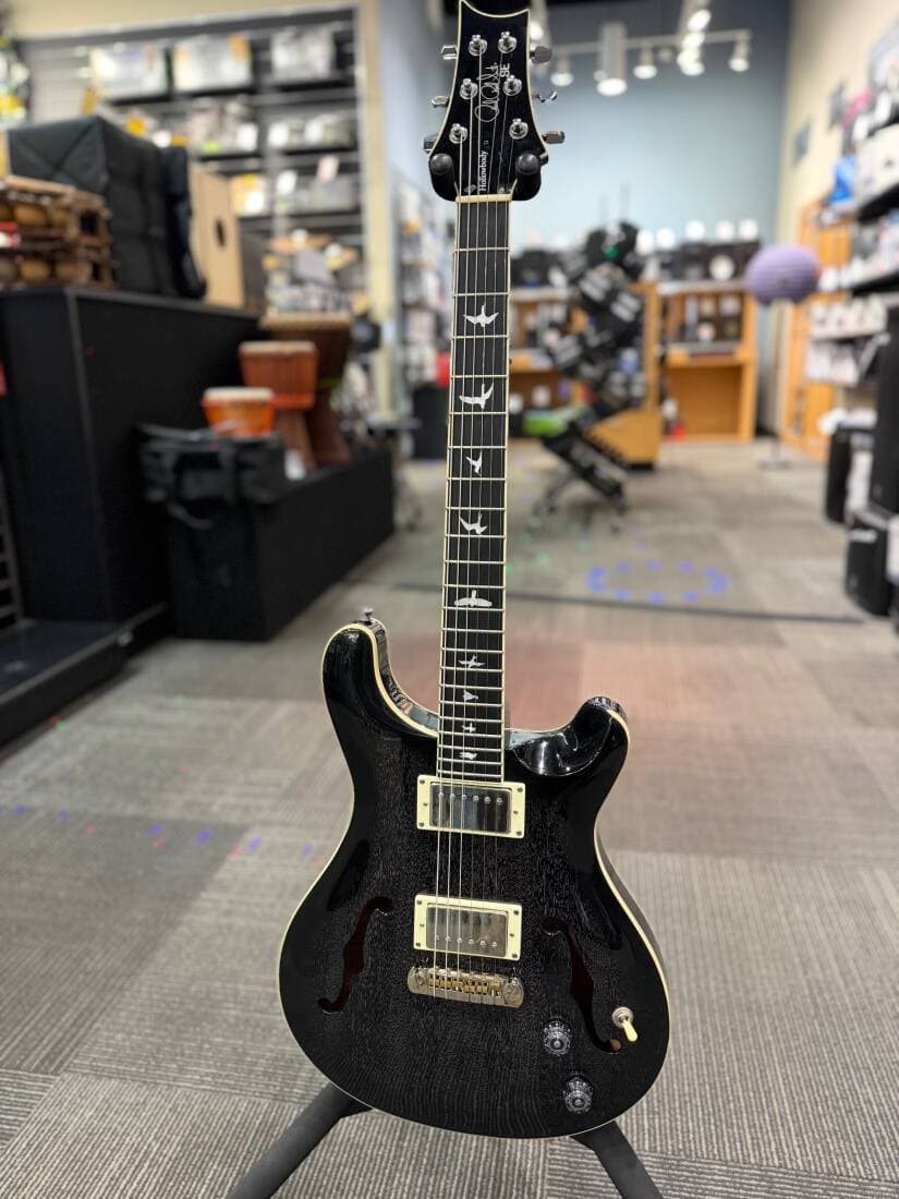 PRS Guitars - SE Hollowbody Standard Electric Guitar - Dog Hair Smokeburst