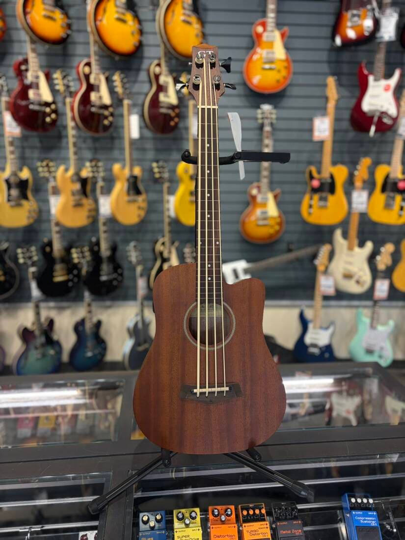 Gold Tone - Micro Fretless Bass