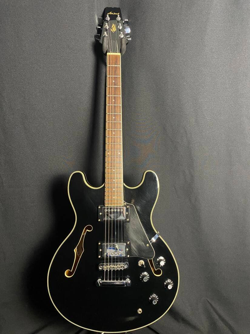 Aria Pro II Ebony w/Case
