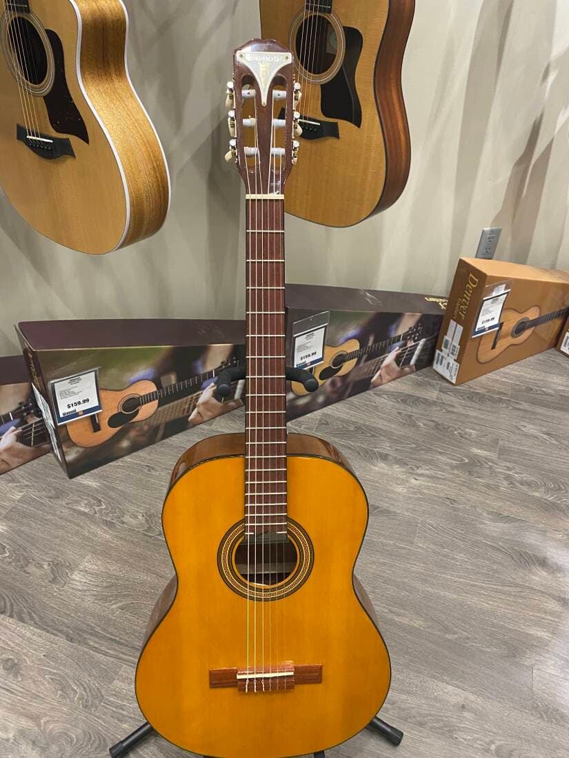 Epiphone - EAPCANCH