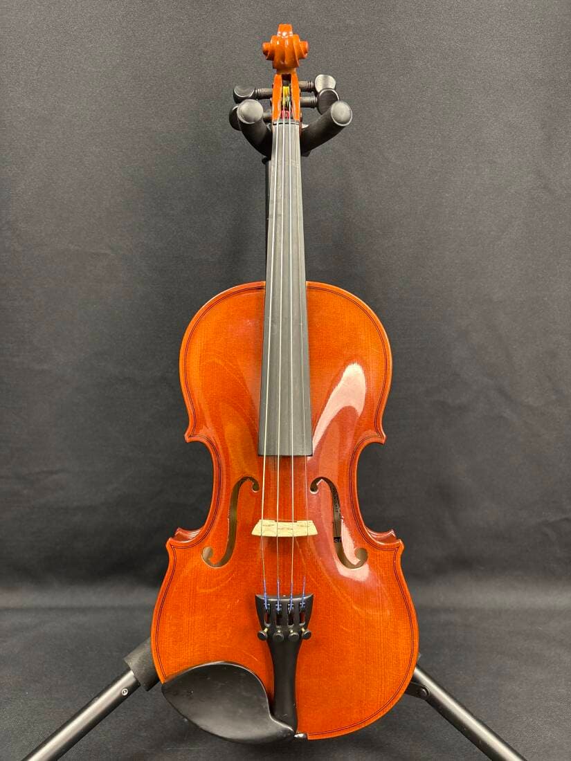 SCHOENBACH - 220 1/2 VIOLIN OUTFIT