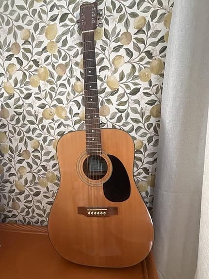 Hohner akustisk gitarr HW700N Leyanda