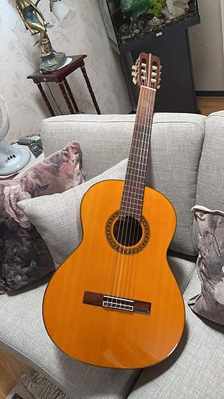 Segovia C-20 Acoustic Guitar with Bag – Excellent Condition
