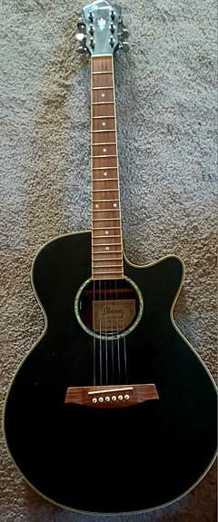 Ibanez AEG10BK1201
