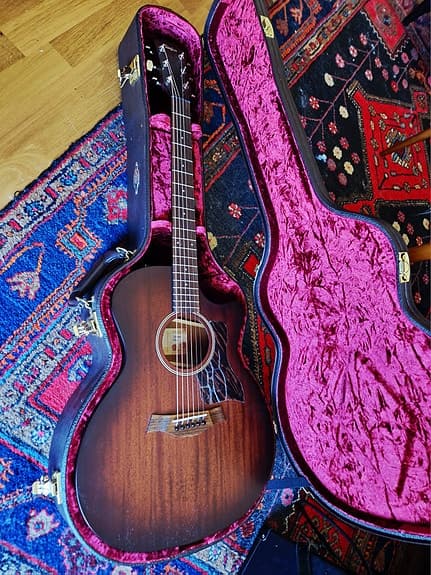 Taylor AD24CE med Deluxe Hardcase