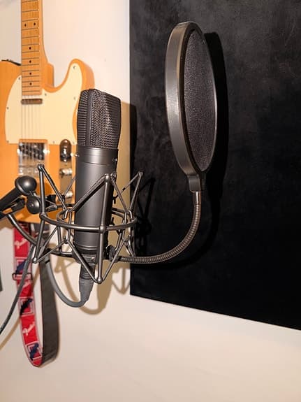 Warm Audio WA-87 svart kondensatormikrofon