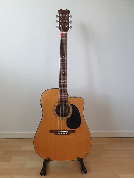 ALVAREZ ARTIST 5220CEQ - ELEKTROAKUSTISK - INKL. TILLBEHÖR