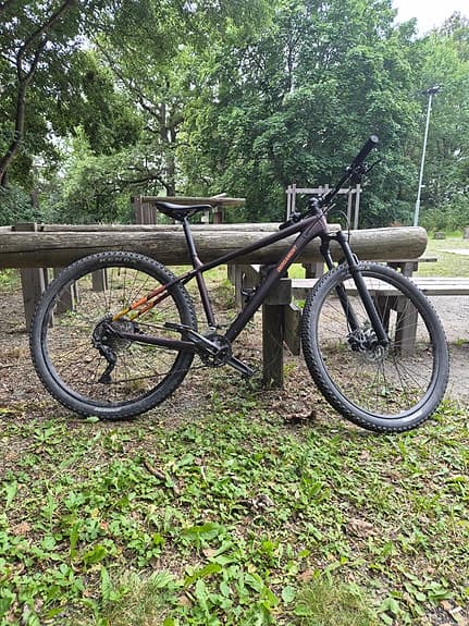 Bergamont Revox 7