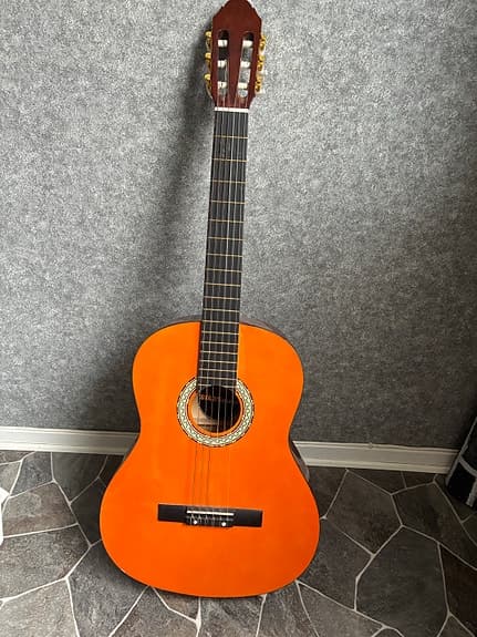 akustisk gitarr klassisk natur