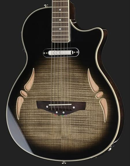 Finfin Elektrisk och akustisk gitarr från Harley Benton