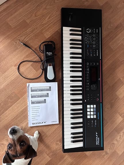 Roland Juno DS61