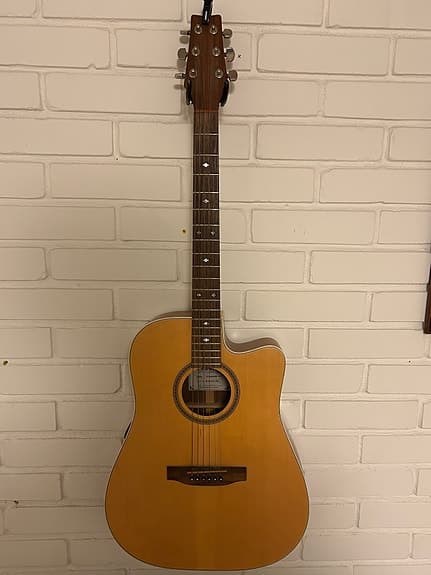 Peders Standard Cut halvakustisk gitarr