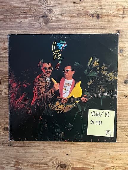 Electric Banana Band
