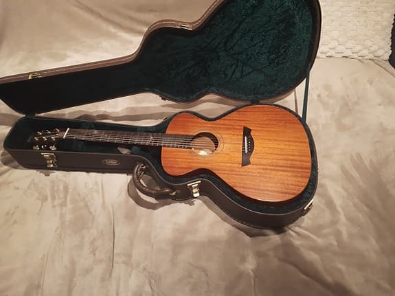 Acoustic guitar Vintage Gordon Giltrap Signature V2000MGG