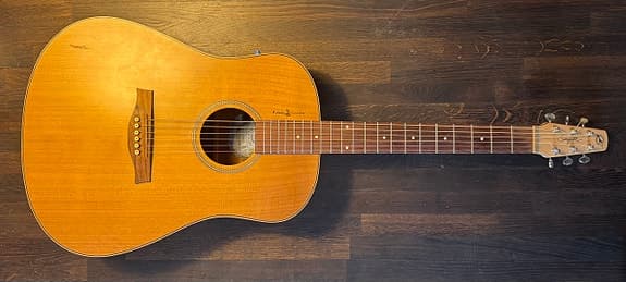Seagull Natural Elements akustisk guitar med indbygget pickup