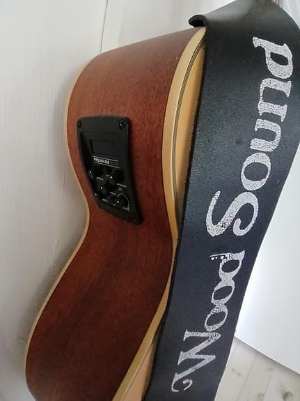 Tanglewood TW 12 CE