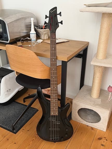 Tenson bass guitar