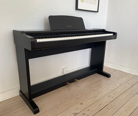 Technics SX-PX201 Digital Piano sort