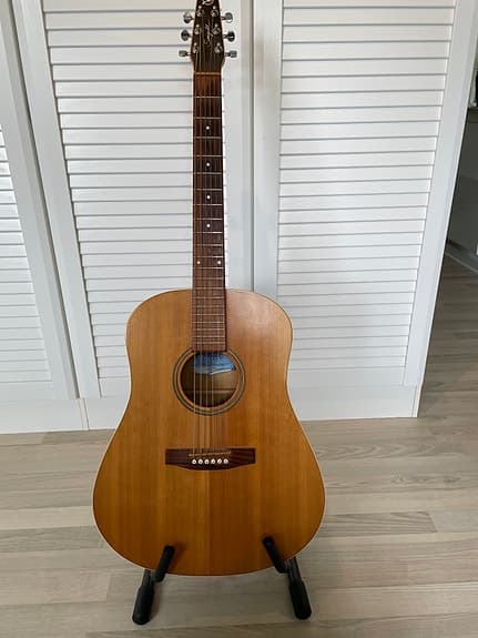 Seagull guitar