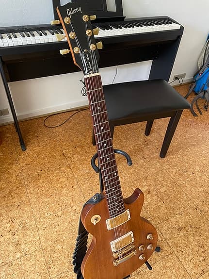 Gibson Les Paul SmartWood Exotic 1999