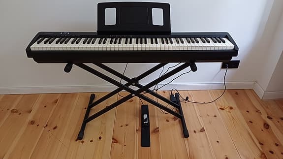 Roland FP-10 Digital Piano Set (Bench, Stand, Pedal)