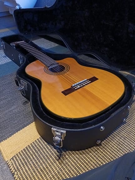 Takamine EG522